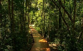 Momora Distrito Selva